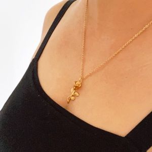 2/60 Rose Necklace , won’t tarnish